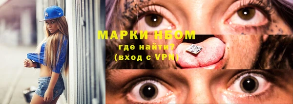 прущие грибы Магадан