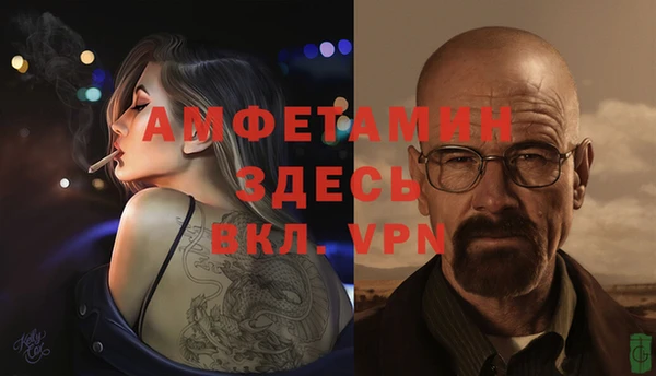 прущие грибы Магадан