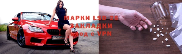 дживик Майский