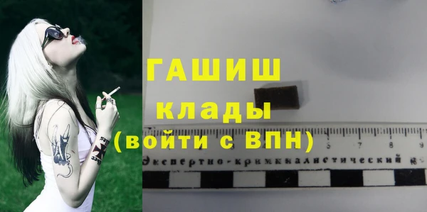прущие грибы Магадан