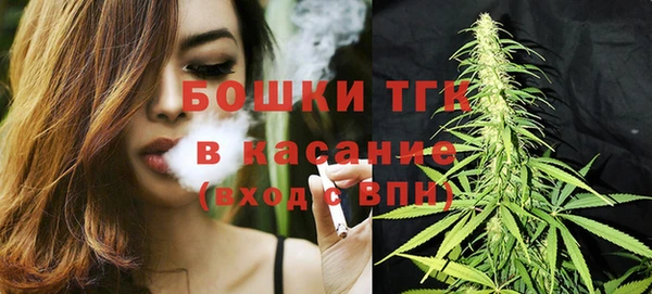 дживик Майский
