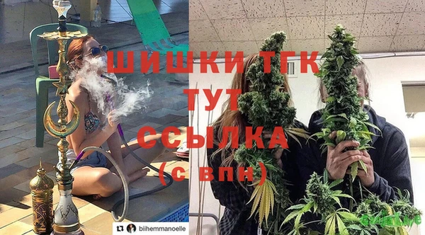 дживик Майский