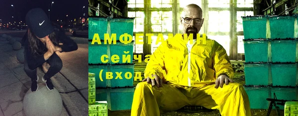 прущие грибы Магадан