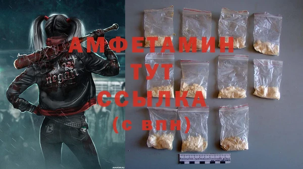 прущие грибы Магадан