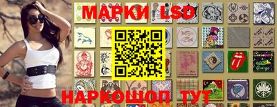 шишки Кимры