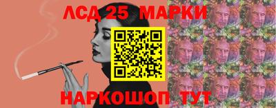 шишки Кимры