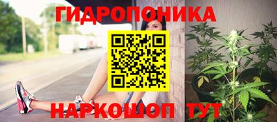 шишки Кимры