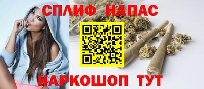шишки Кимры