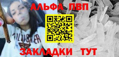 шишки Кимры