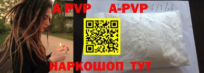 гидра Кингисепп