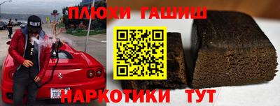 гидра Кингисепп