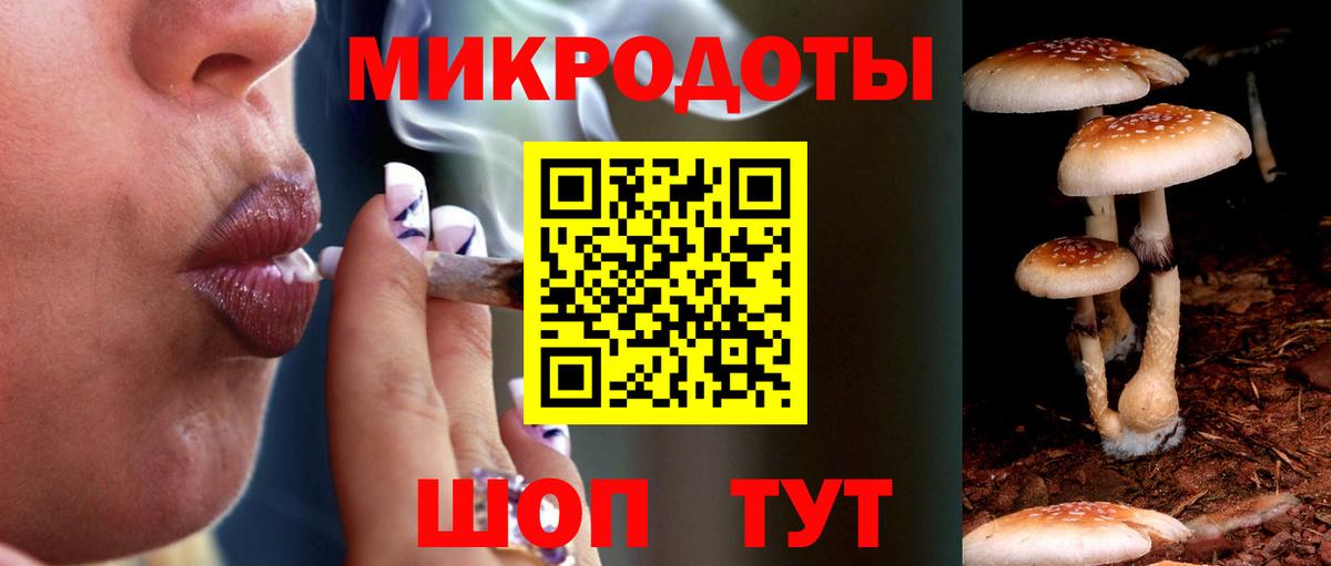 Галлюциногенные грибы GOLDEN TEACHER Копейск