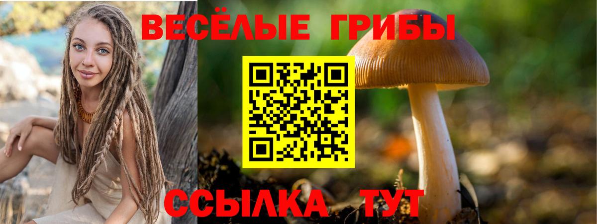 Псилоцибиновые грибы Magic Shrooms  Копейск 